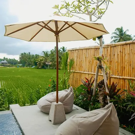 Uma Rimbun Pool Villa By Uniquecations Ubud  Exterior photo