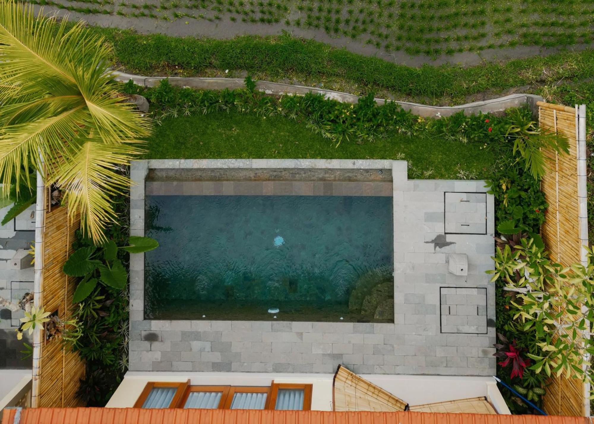 Uma Rimbun Pool By Uniquecations Ubud (Bali)